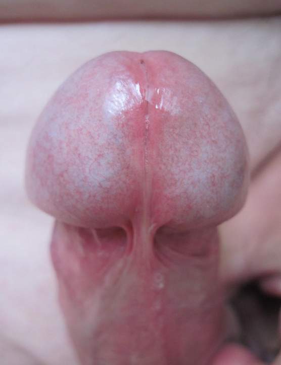 Adult image from conan