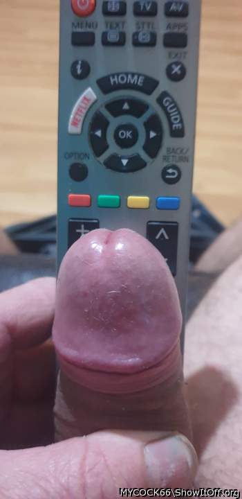 Adult image from MYCOCK66
