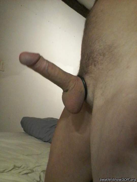 Adult image from bela36