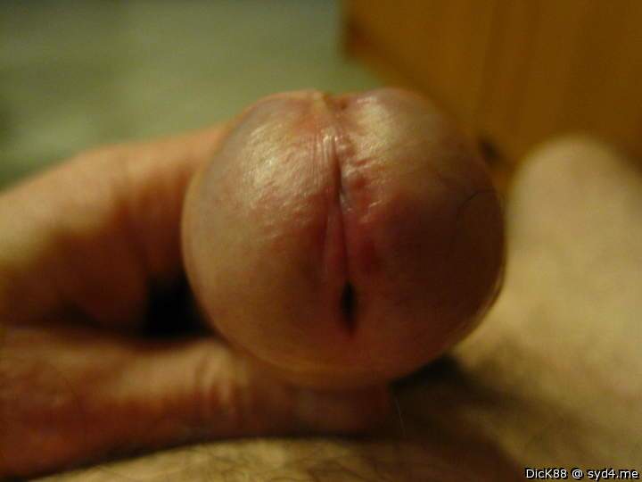 Adult image from Dick88