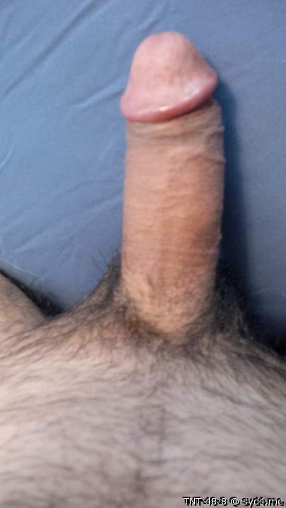 Adult image from TNT-48-8