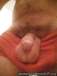 Adult image from Haralampi