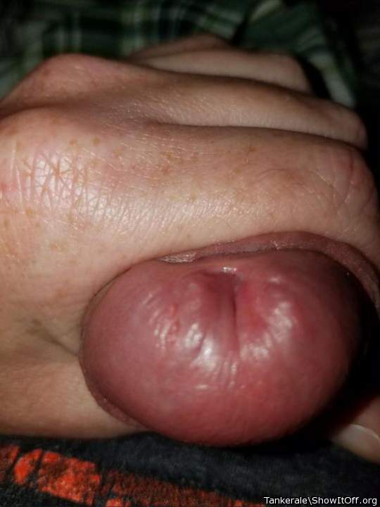 Adult image from Tankerale