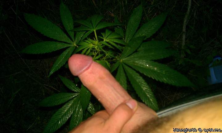 Yumm, two of my favorites