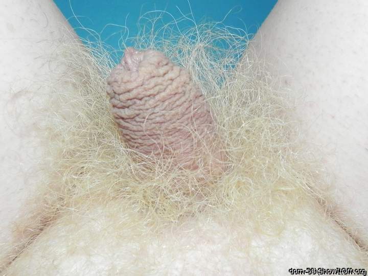 Adult image from dom-58
