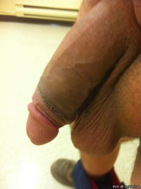 Adult image from 8x6
