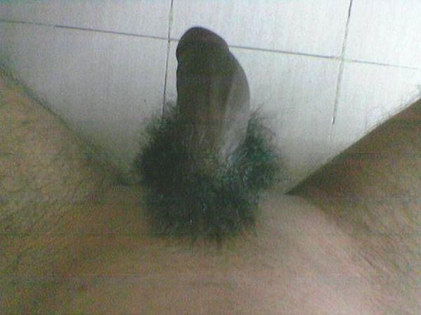 Adult image from nicedices