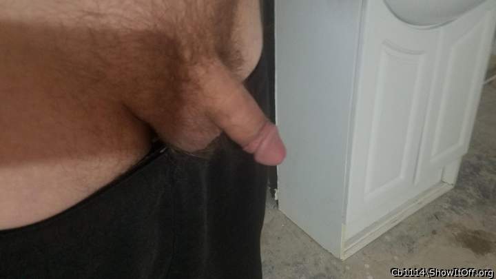 Adult image from Cb1114