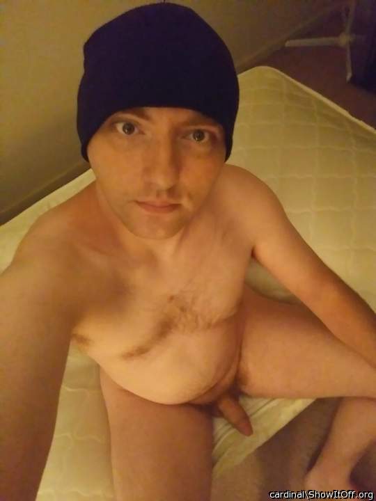 Adult image from cardinal