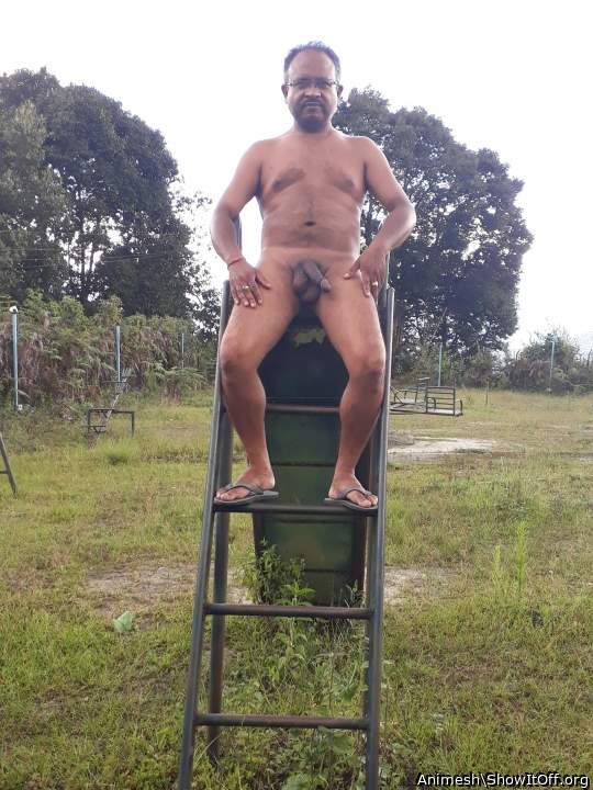 Adult image from Animesh