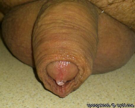 Love to Taste it 