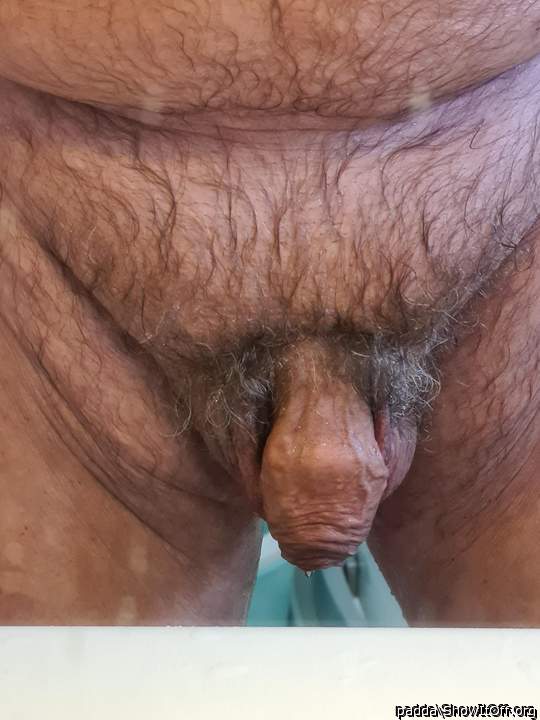 Adult image from padda