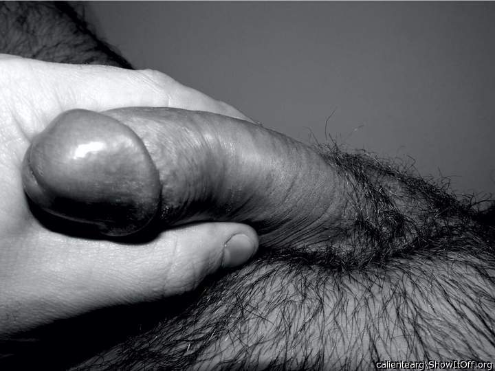 Adult image from calientearg