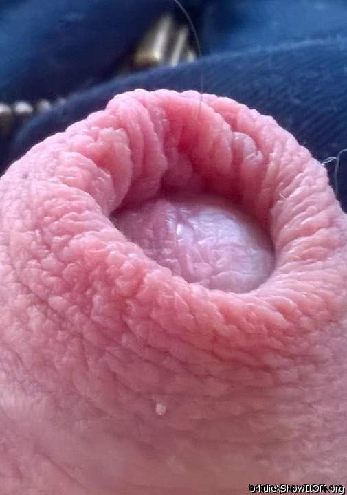 Adult image from b4idie