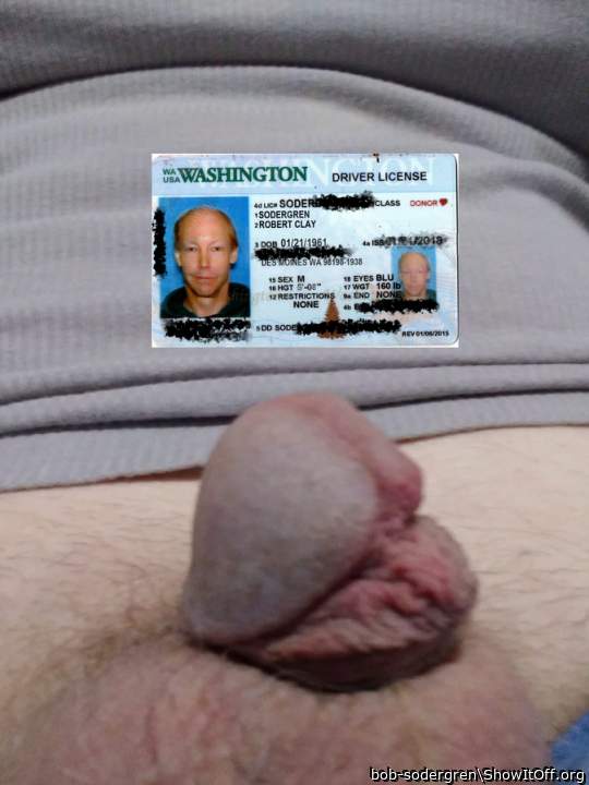 Bob-Sodergren-aka-Tara-Mc-Lovin-shares-his-giant-hardon-Drivers-License-ID-Proof