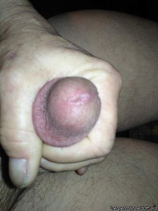 Adult image from Denpenn