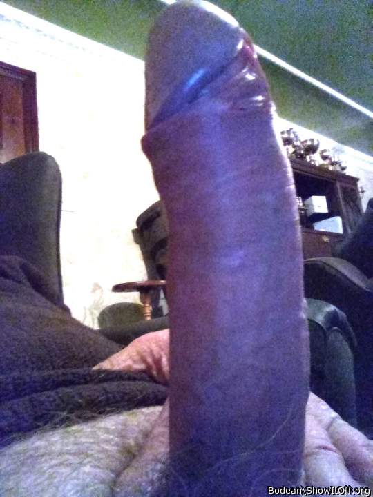 Adult image from Bodean