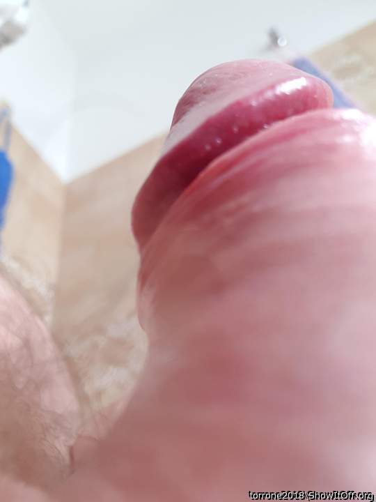 Adult image from torrone2018