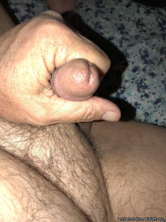 Adult image from Erniemc