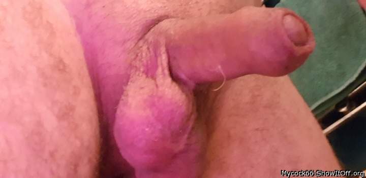 Adult image from MYCOCK66