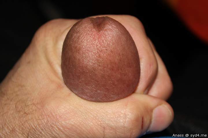Adult image from Anass
