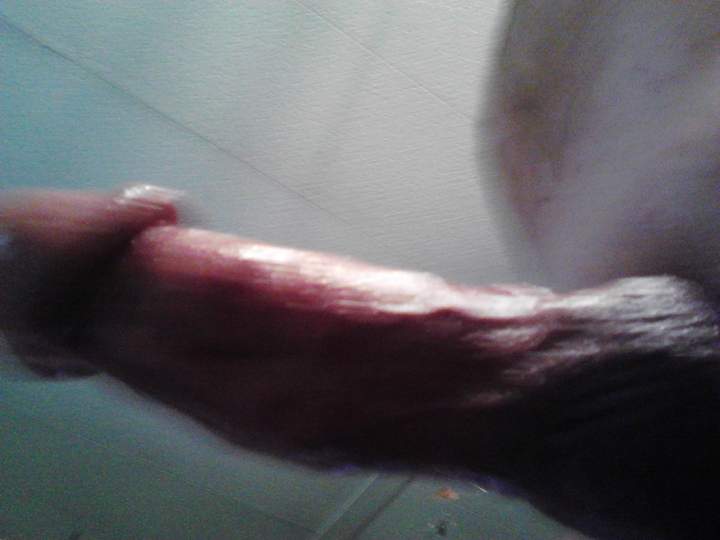 Adult image from fish4free