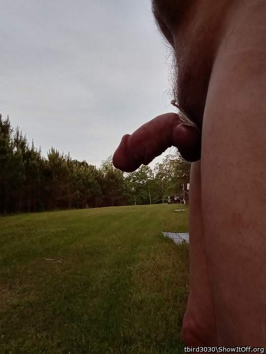 Adult image from tbird3030