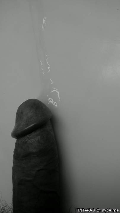 Adult image from TNT-48-8