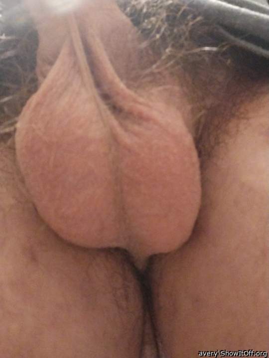 Adult image from avery