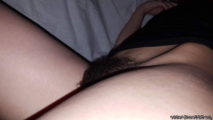 Nice natural bush