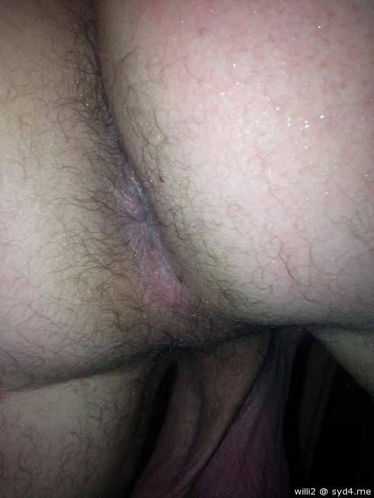 Adult image from WILLI2