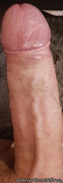 Adult image from sts4ever