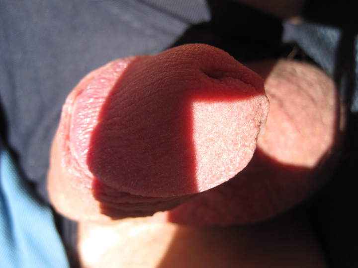 Adult image from peter_b