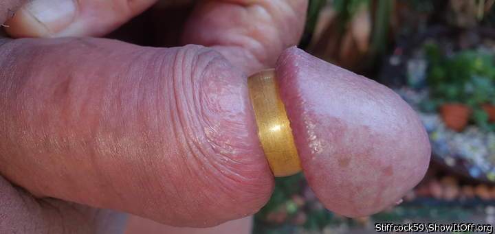 Adult image from Stiffcock59