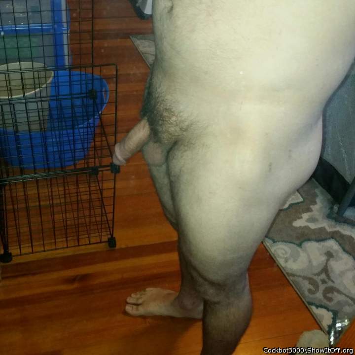 Adult image from cockbot3000