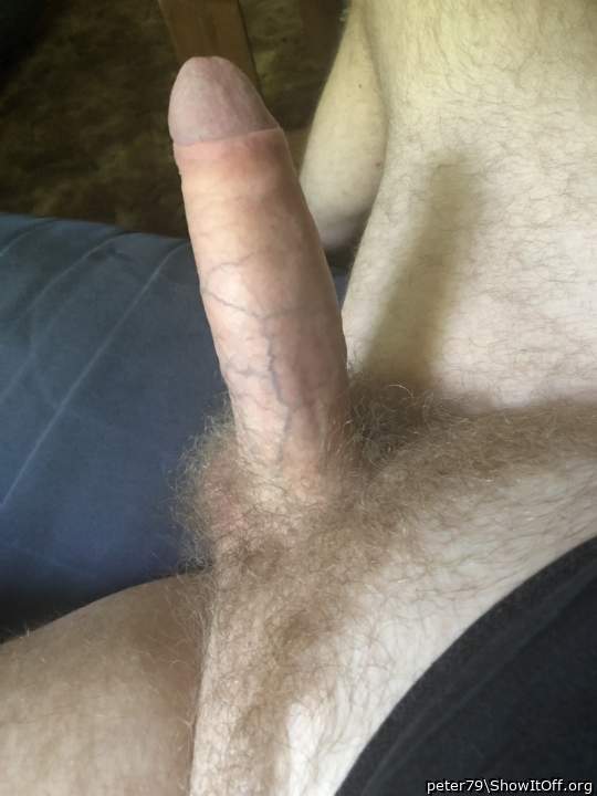 Adult image from peter79