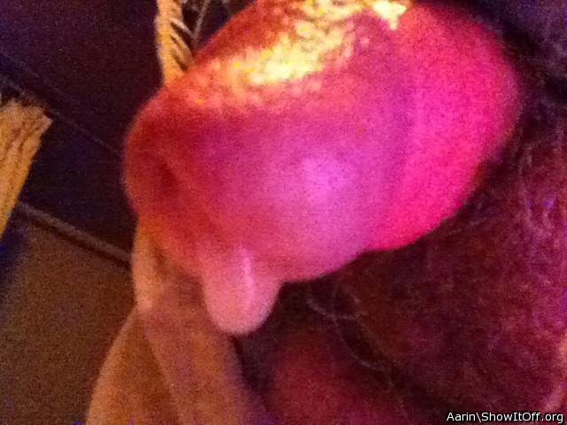 Adult image from Arinn