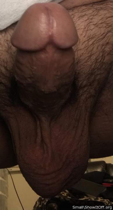 Adult image from Small