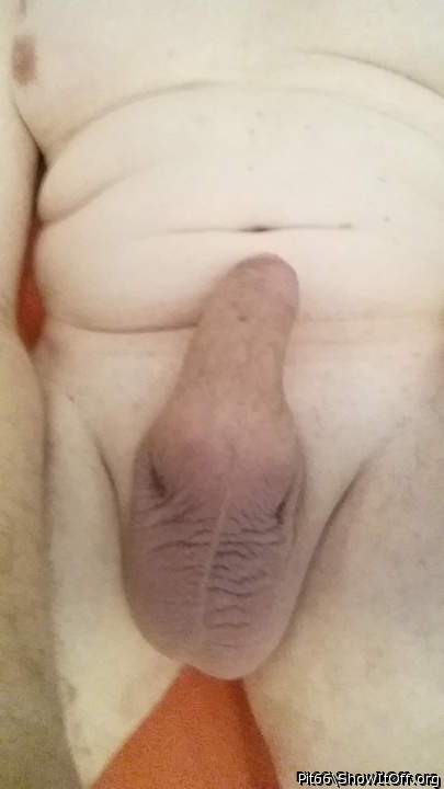 Adult image from Pit66