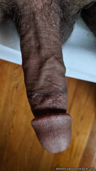 Adult image from Wetthroat
