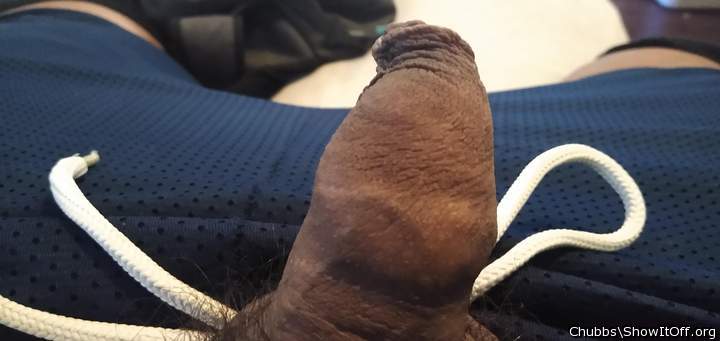 Adult image from Chubbs