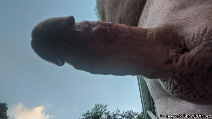 Adult image from Lonelycock
