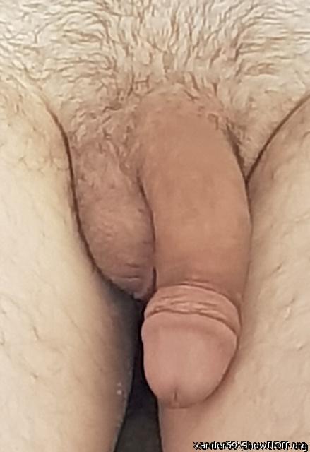 Adult image from xander69