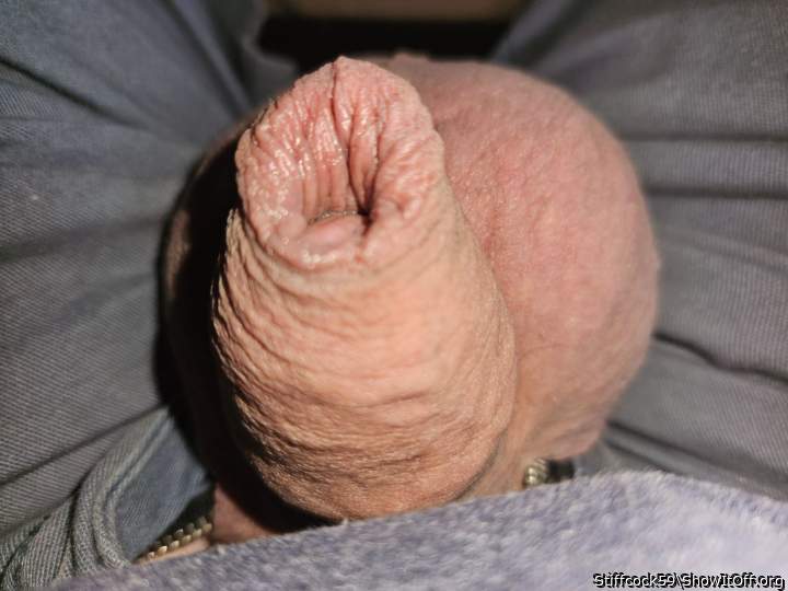 Adult image from Stiffcock59