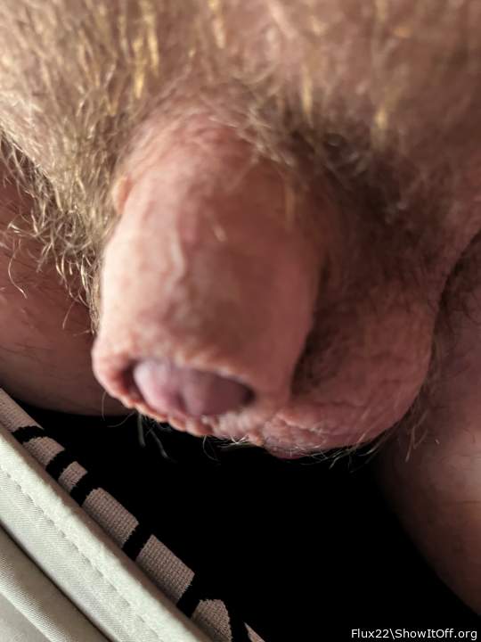 Adult image from Flux22
