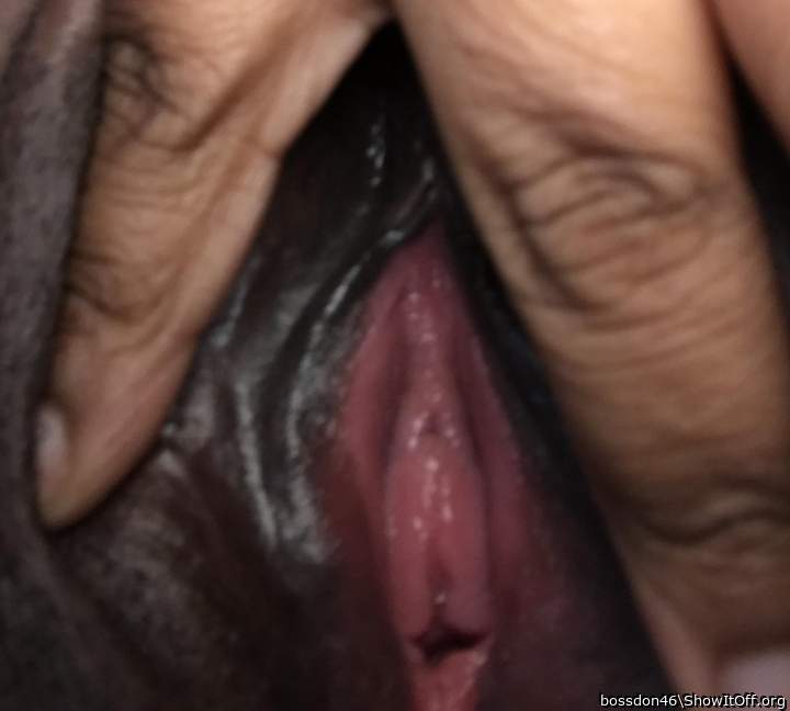 My New Bitch Pussy What Yall Think 🤔?