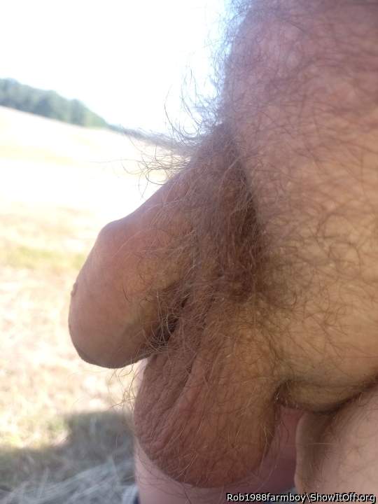 Adult image from Rob1988farmboy