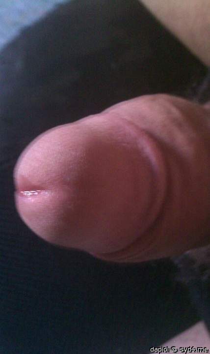 Adult image from dapiol