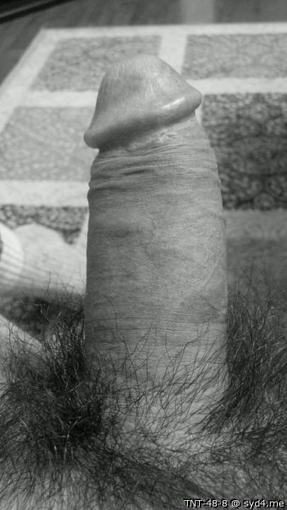 Adult image from TNT-48-8