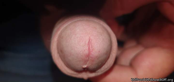 Adult image from Stiffcock59